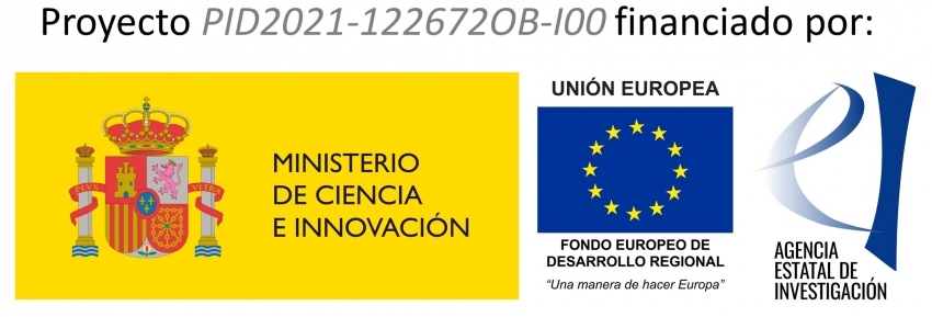 Ministerio de Ciencia, Innovación y Universidades · FEDER · AEI